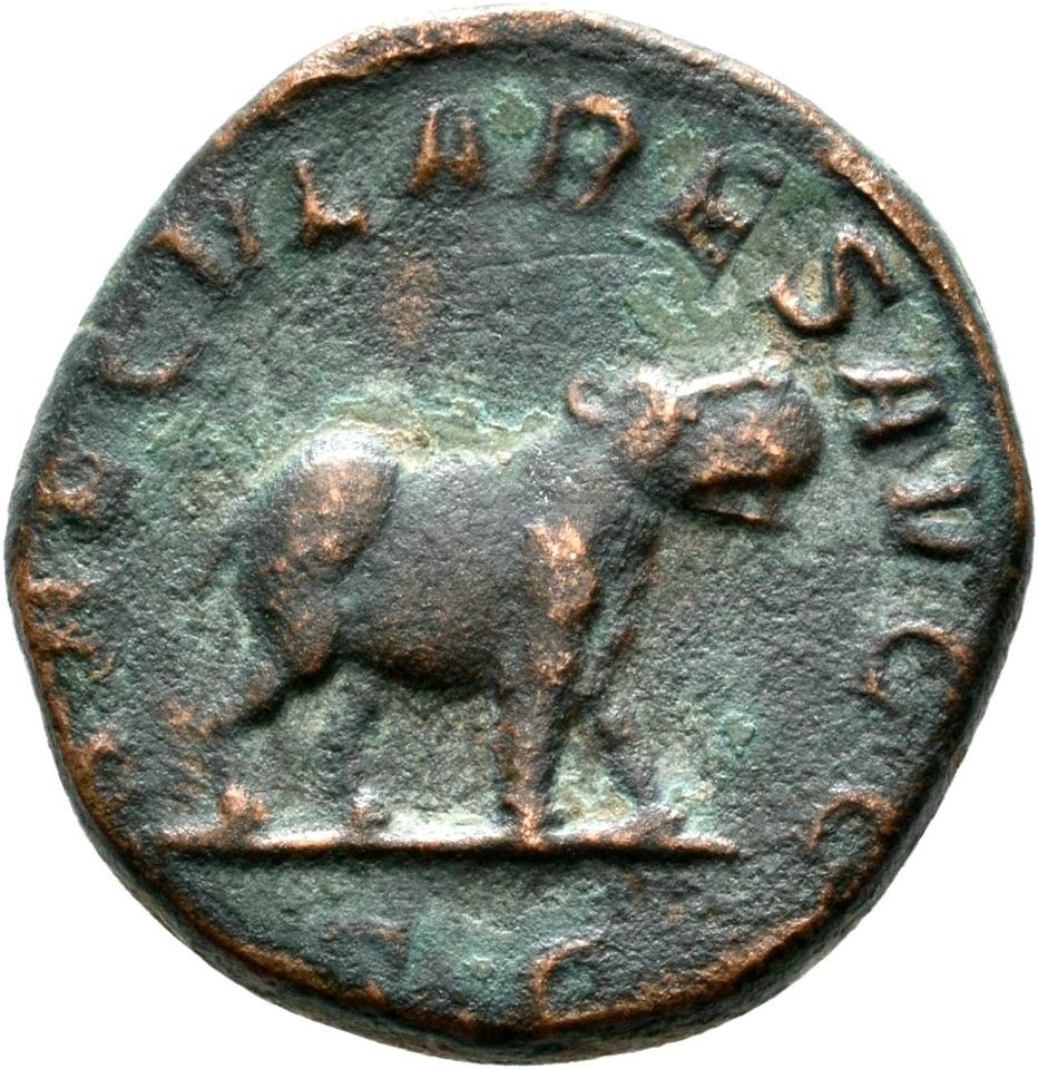 Philip the Arab, copper-alloy sestertius, collection photograph Rostock-ID491, reverse