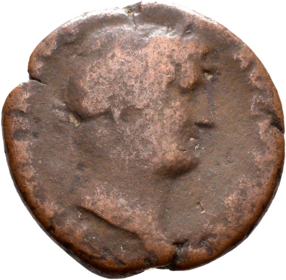 Hadrian, copper-alloy as, collection photograph Rostock-ID393, obverse