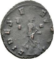 Rostock-ID1212 reverse