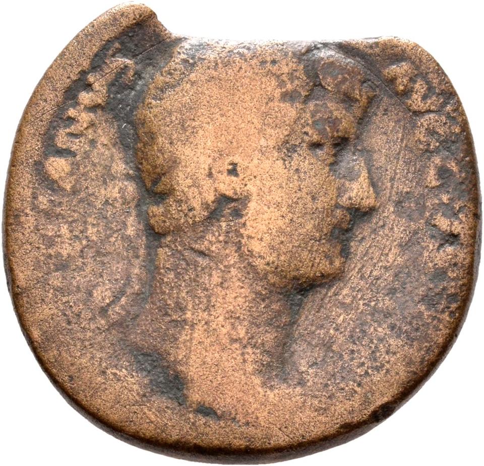 Hadrian, copper-alloy sestertius, collection photograph Rostock-ID401, obverse