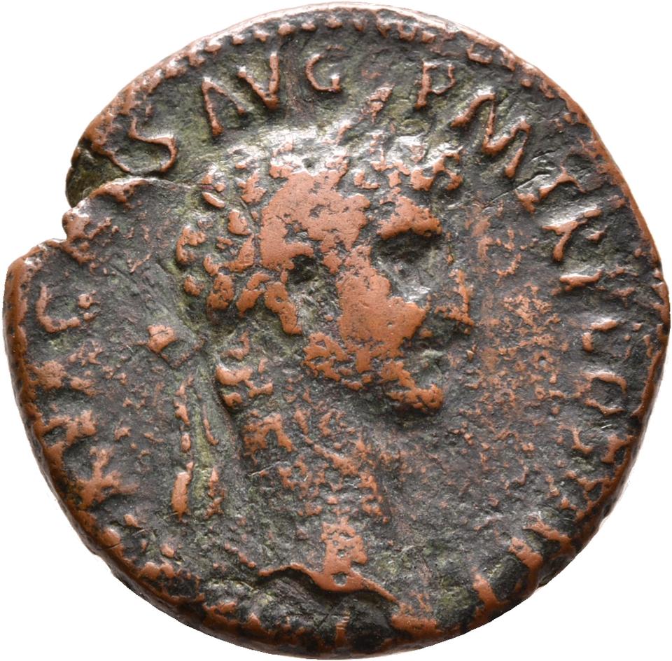 Nerva, copper-alloy as, collection photograph Rostock-ID896, obverse