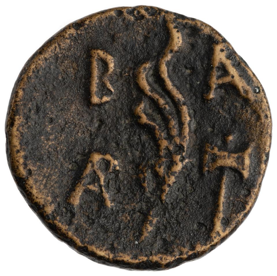 Demetrios Poliorketes, copper-alloy 1/6 unit, collection photograph ANS-1944.100.13705, reverse