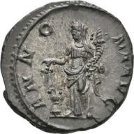 Koeln-ID919 reverse