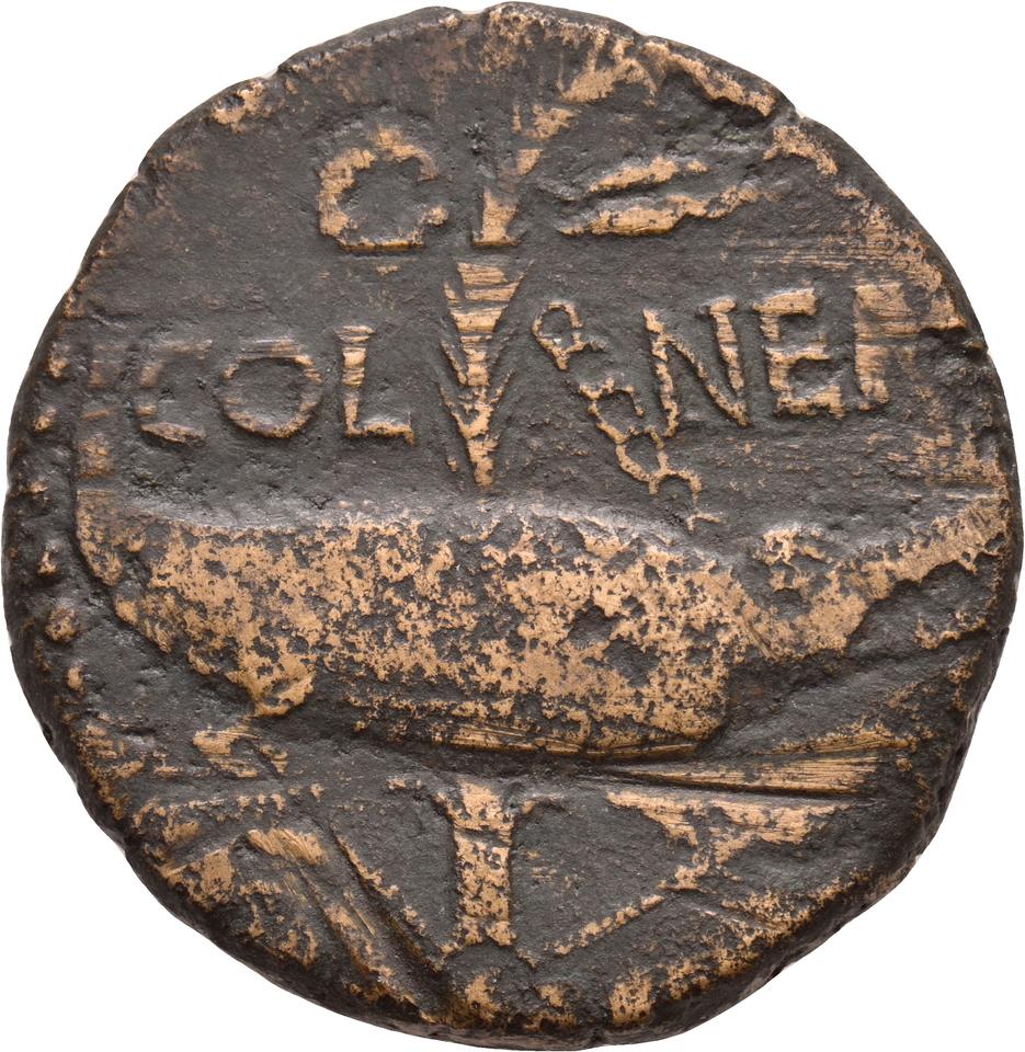 Augustus, copper-alloy as, collection photograph Koeln-ID572, reverse