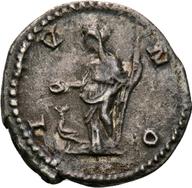 Koeln-ID1341 reverse