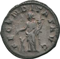 Koeln-ID983 reverse
