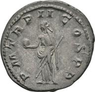 Koeln-ID948 reverse