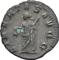 Koeln-ID989 reverse