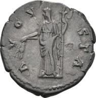 Koeln-ID776 reverse