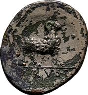 Koeln-ID1284 reverse