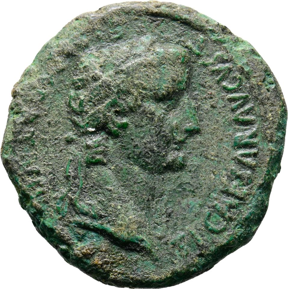 Augustus, copper-alloy as, collection photograph Koeln-ID1440, obverse