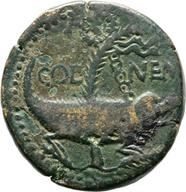 Koeln-ID1437 reverse