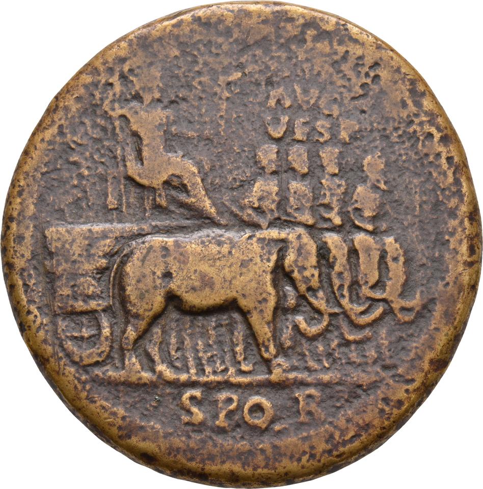 Titus, copper-alloy sestertius, collection photograph Koeln-ID647, obverse