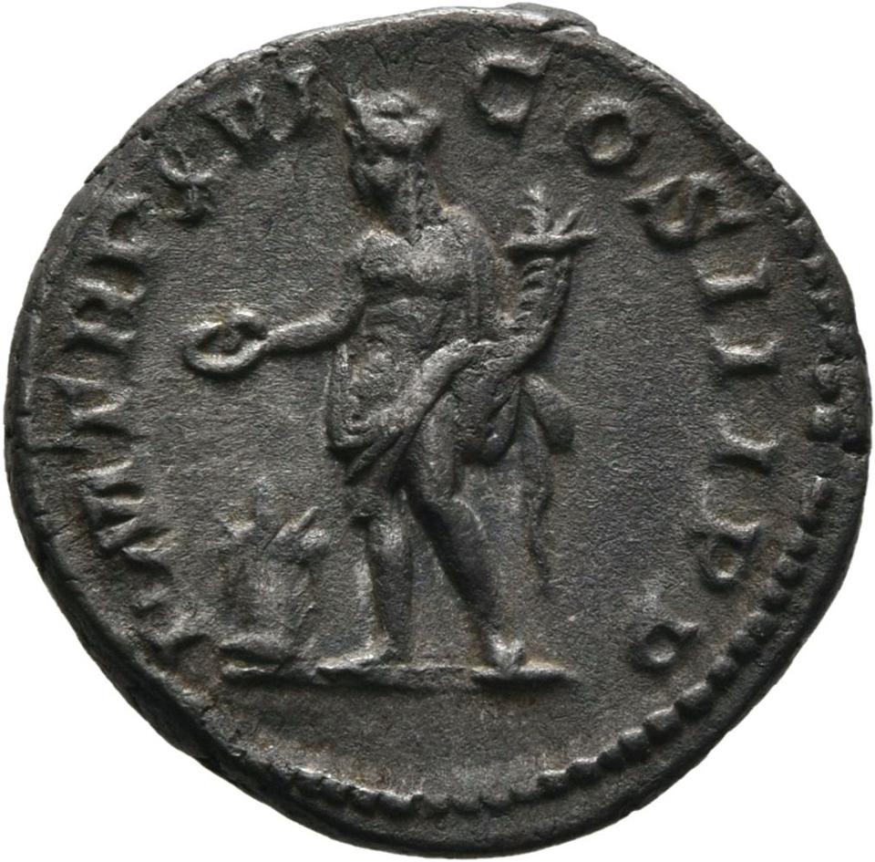 Septimius Severus, Silver denarius, collection photograph Mainz-ID409, reverse