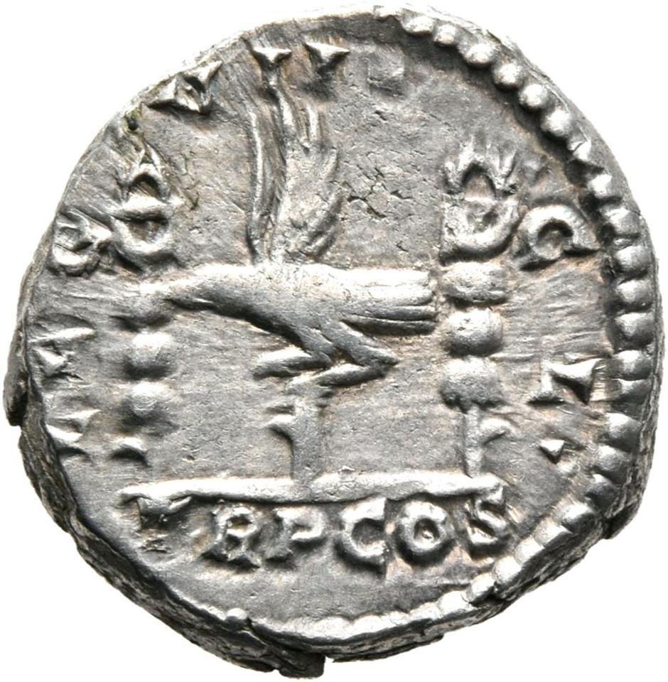 Septimius Severus, Silver denarius, collection photograph Mainz-ID389, reverse