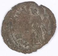 IATH-1991.17.173 reverse