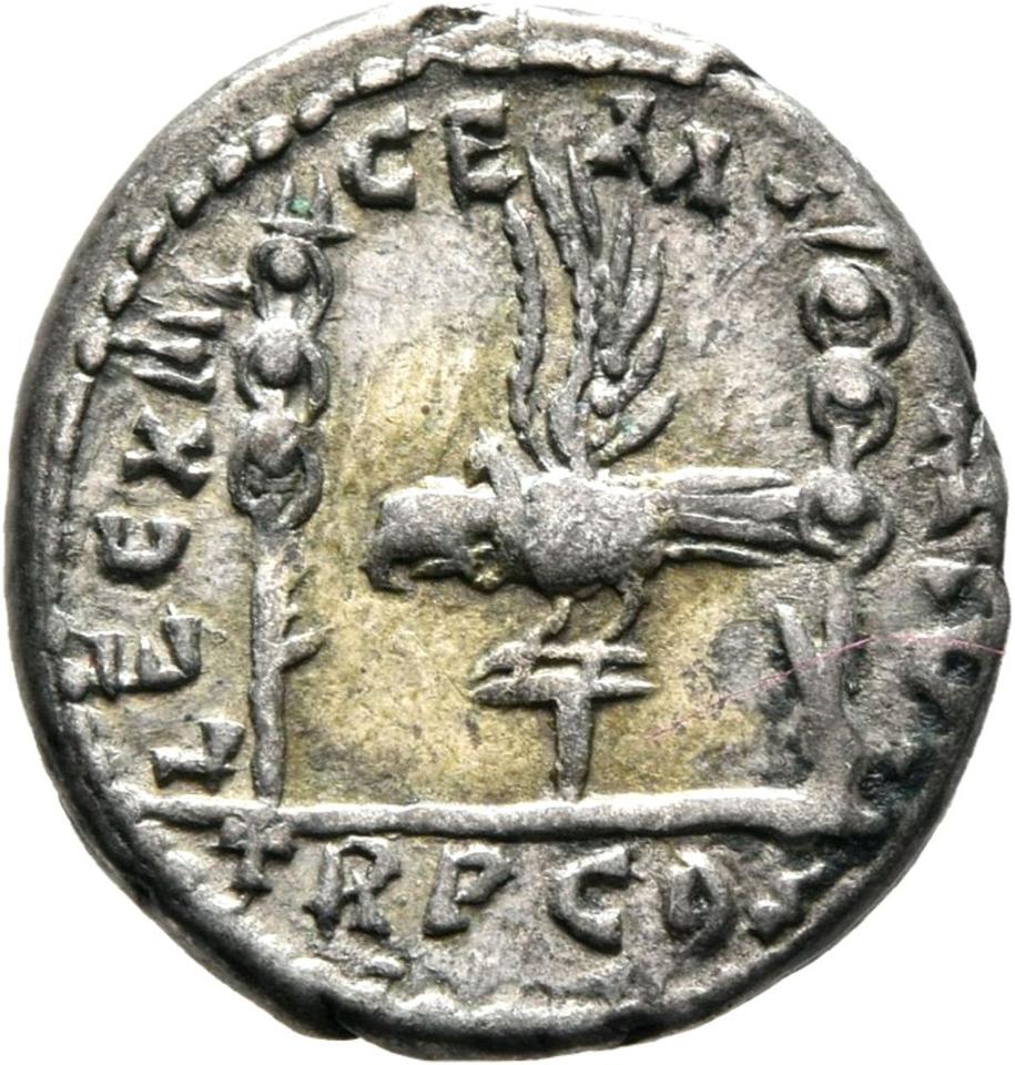Septimius Severus, Silver denarius, collection photograph Mainz-ID390, reverse