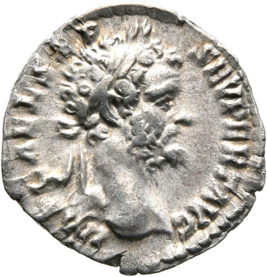 Septimius Severus, Silver denarius, collection photograph Mainz-ID389, obverse