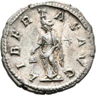 Mainz-ID569 reverse
