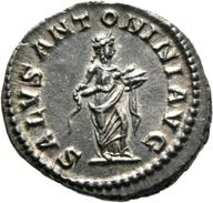 Mainz-ID556 reverse