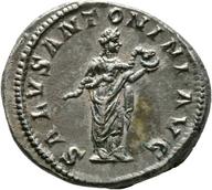 Mainz-ID557 reverse