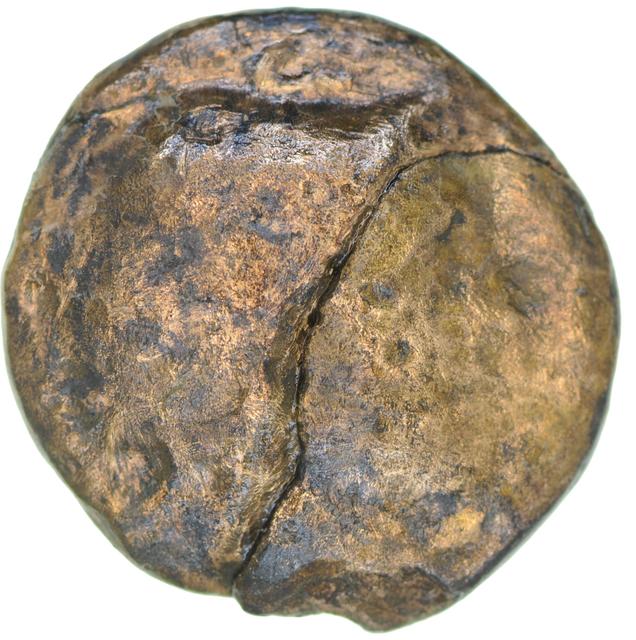 Ptolemy II Philadelphus Bronze Obol, obverse