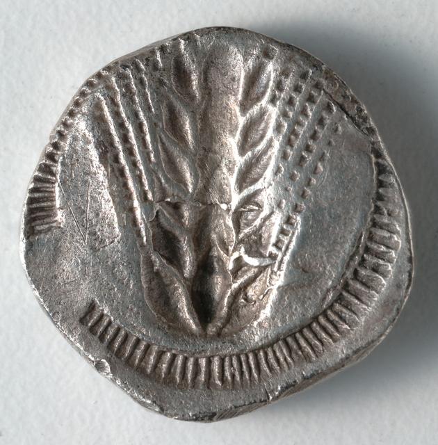 Archaic Silver Stater of Metapontion with Incuse Barley Ear, reverse