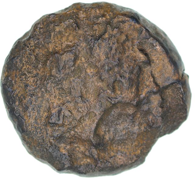 Ptolemy II Diobol, Coins of the Ptolemaic Empire Vol. I, Part II, no. B170, obverse