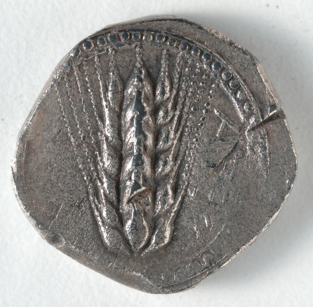 Archaic Silver Stater of Metapontion with Incuse Barley Ear, obverse