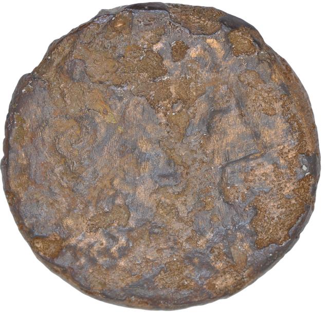 Ptolemy I Soter Bronze Diobol: Coins of the Ptolemaic Empire Vol. I, Part II, no. B62, obverse
