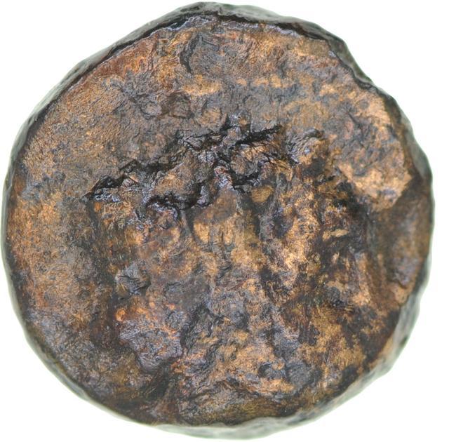 Ptolemy I Soter Bronze Hemiobol, Coins of the Ptolemaic Empire Vol. I, Part II, no. B24, obverse