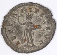 IATH-1991.17.103 reverse