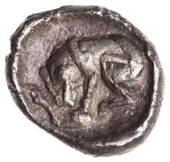 ANS-2010.77.202 reverse