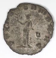 IATH-1991.17.137 reverse