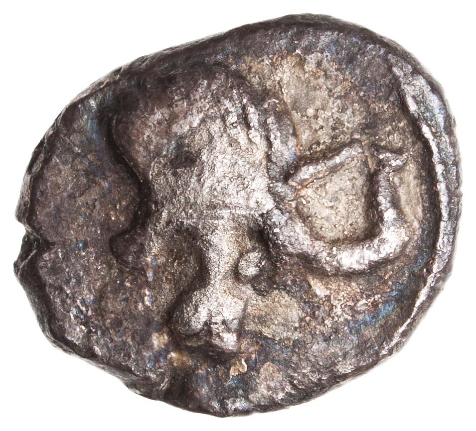 Samaria (Achaemenid province), silver 1/2 m'h, collection photograph ANS-2010.77.202, obverse