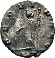Mainz-ID13 reverse