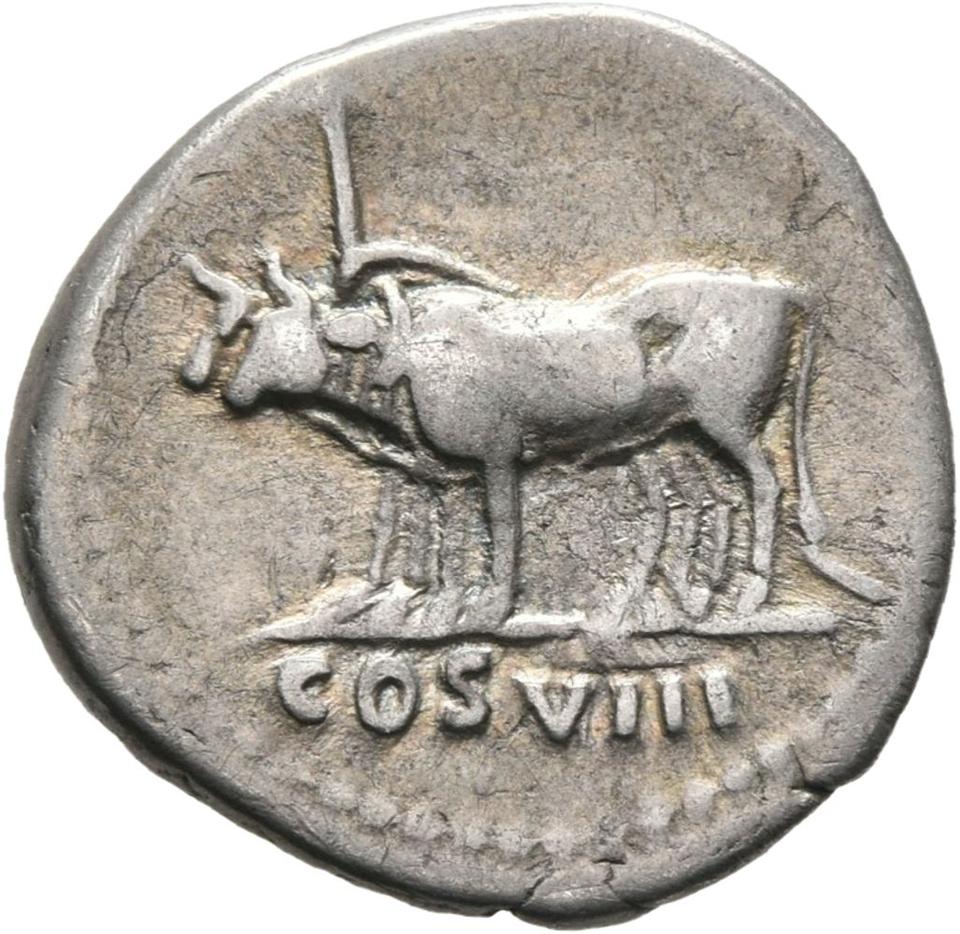 Vespasian, Silver denarius, collection photograph Mainz-ID602, reverse