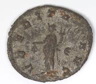 IATH-1991.17.88 reverse