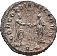 Mainz-ID135 reverse