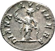 Mainz-ID491 reverse