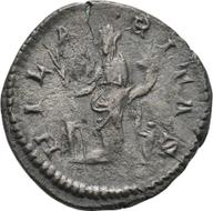 Koeln-ID888 reverse