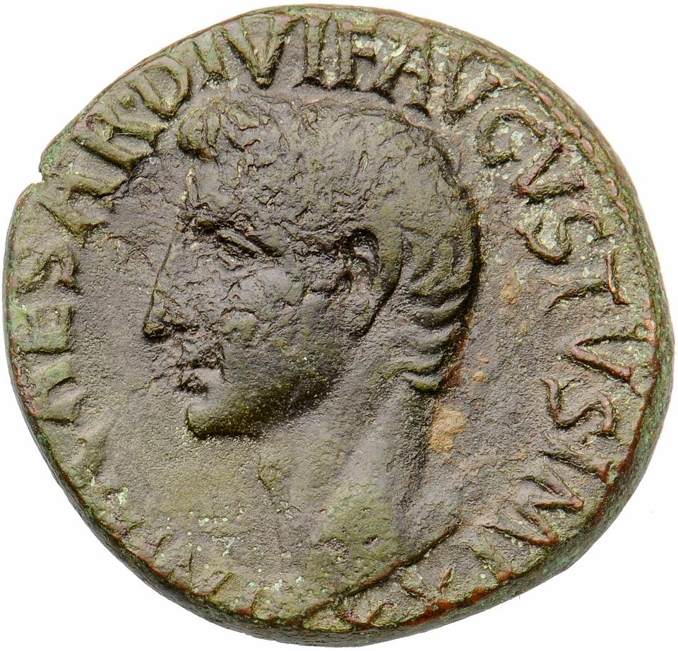 Augustus, copper-alloy as, collection photograph Muenster-ID2090, obverse