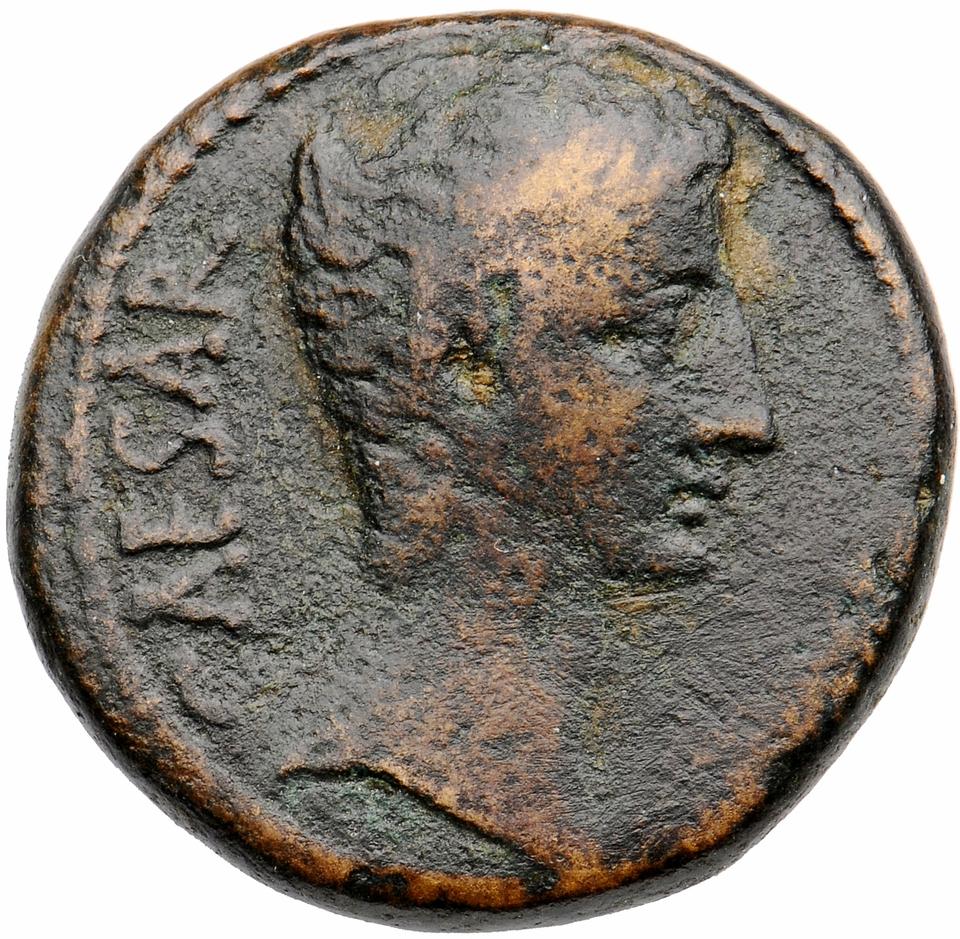 Augustus, copper-alloy as, collection photograph Muenster-ID2091, obverse