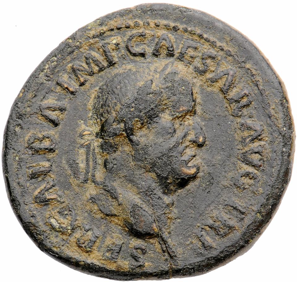 Galba, copper-alloy dupondius, collection photograph Muenster-ID2081, obverse