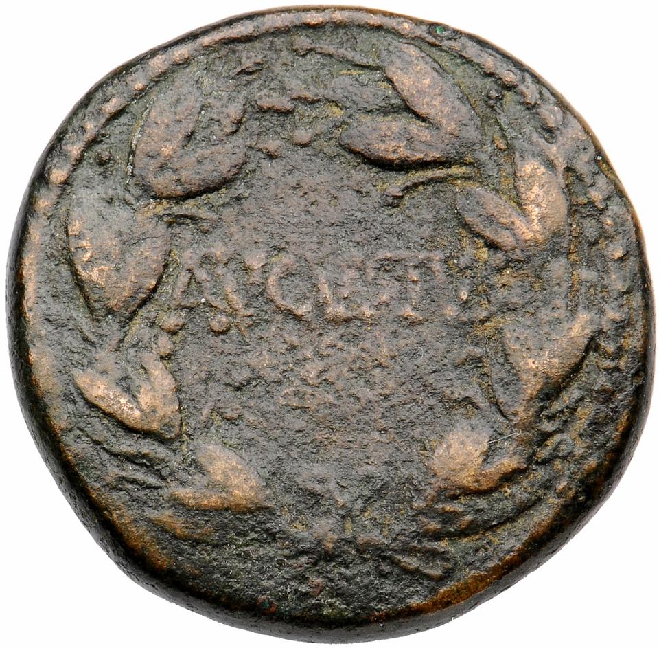 Augustus, copper-alloy as, collection photograph Muenster-ID2091, reverse