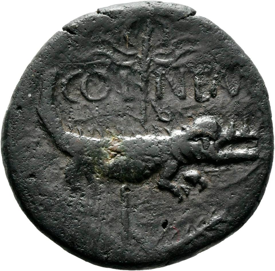 Augustus, Bronze as, collection photograph Mainz-ID467, reverse