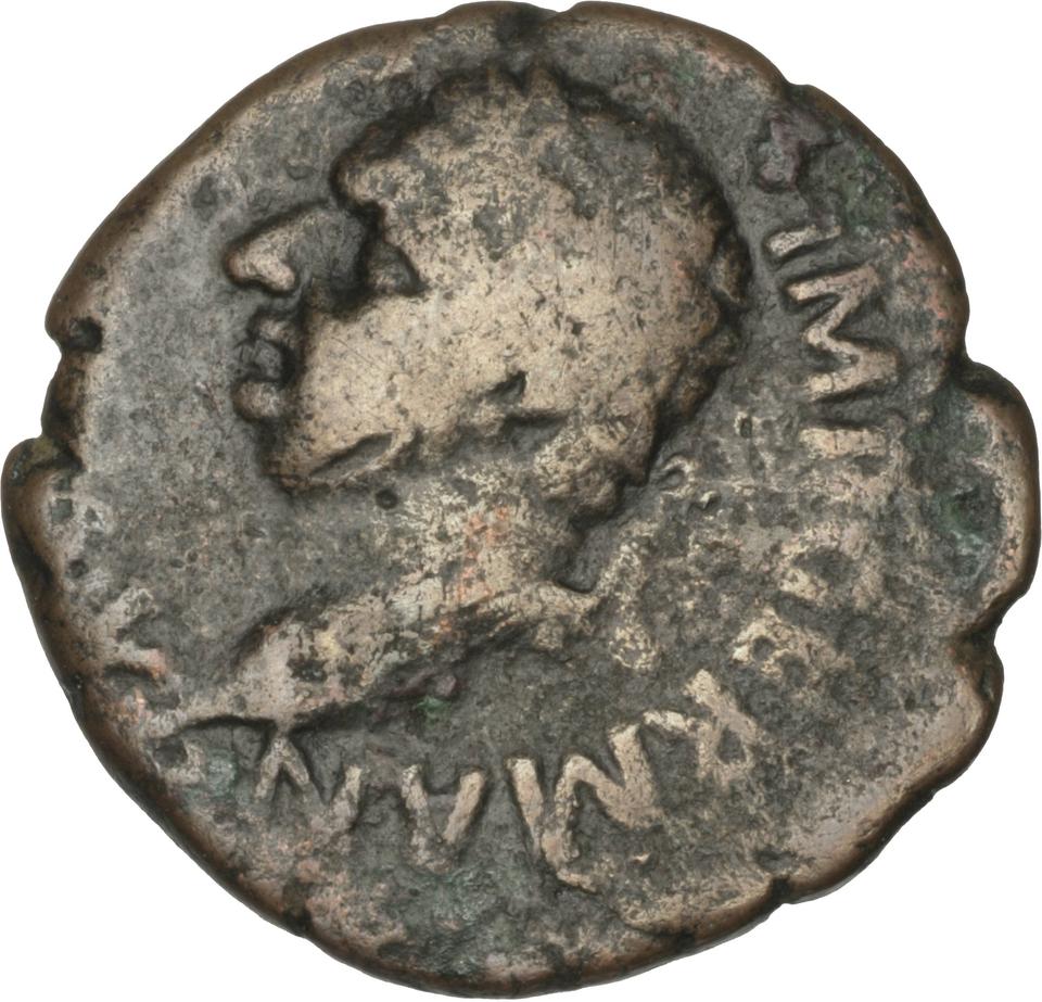 Vitellius, copper-alloy as, collection photograph Herzog-ID29, obverse