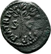 Mainz-ID583 reverse