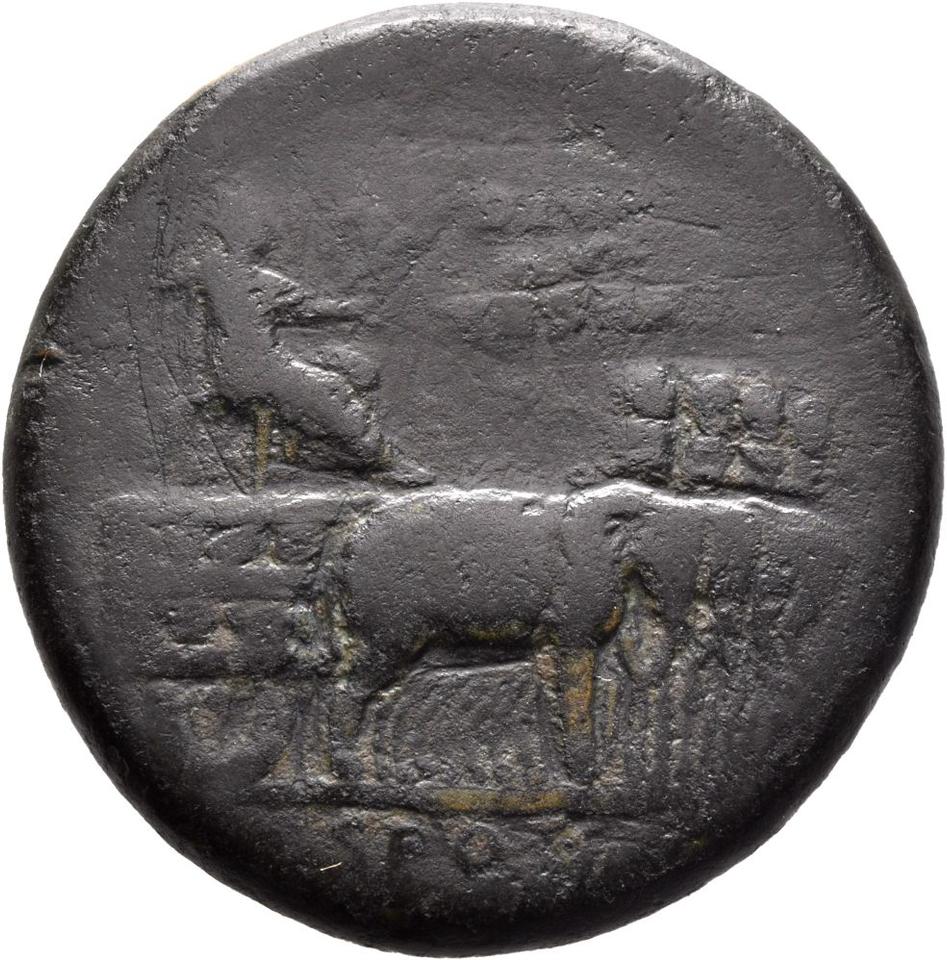Titus, copper-alloy sestertius, collection photograph Mainz-ID619, obverse
