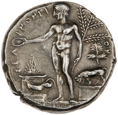 Selinus Silver Tetradrachm, reverse